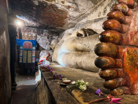 Dambulla Sri Lanka 20 April 2024 View of the reclining Buddha statue inside the historic Dambulla Cave Temple featuring ancient wall paintings and offerings of lotus flowers.