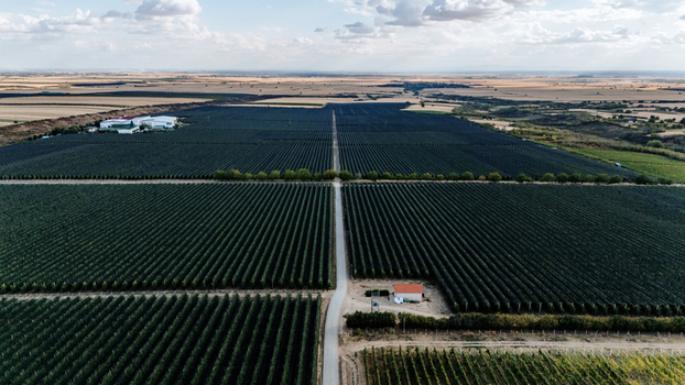 Aerial view of Deuric orchards with neatly arranged rows of fruit trees a small white building and expansive agricultural fields in Mala Remeta Vojvodina Serbia. Aerial view of Deuric orchards with neatly arranged rows of fruit trees a small white building and expansive agricultural fields in Mala Remeta Vojvodina Serbia.