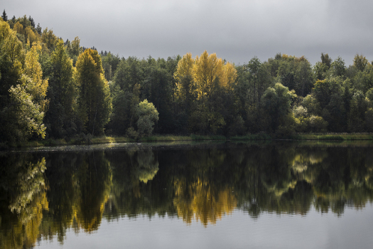 View of a calm lake reflecting a dense forest with early autumn yellow and green foliage under a cloudy sky in Jyvaskyla Central Finland Finland.