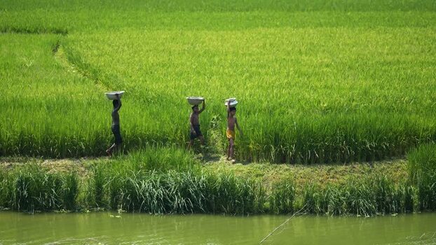 View of boys carrying bowls on their heads in Bogura Bangladesh.