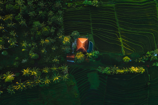 Aerial view of a terracotta roofed villa nestled amidst lush green foliage and terraced rice paddies a serene oasis blending seamlessly with nature s artistry Tabanan Bali Indonesia. Aerial view of a terracotta roofed villa nestled amidst lush green foliage and terraced rice paddies a serene oasis blending seamlessly with nature s artistry Tabanan Bali Indonesia.