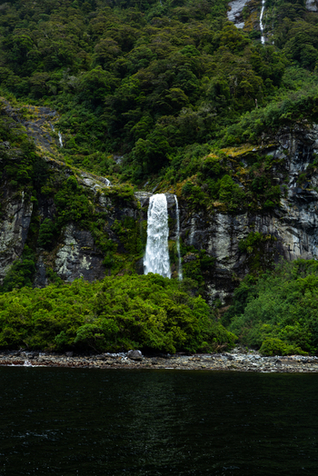 View of a powerful waterfall cascading down the rugged verdant cliffs into the dark reflective waters creating a serene yet dramatic landscape Milford Sound Southland Region New Zealand.