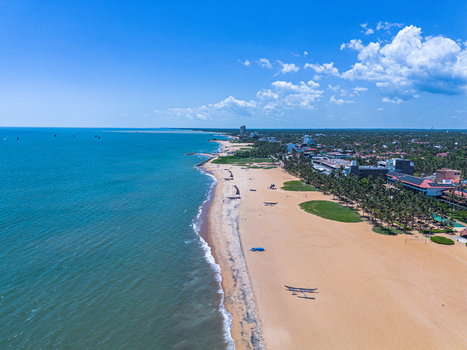 Aerial view of Negombo Beach with its expansive sandy coastline lush palm trees and traditional fishing boats along the shore in Negombo Western Province Sri Lanka. Aerial view of Negombo Beach with its expansive sandy coastline lush palm trees and traditional fishing boats along the shore in Negombo Western Province Sri Lanka.