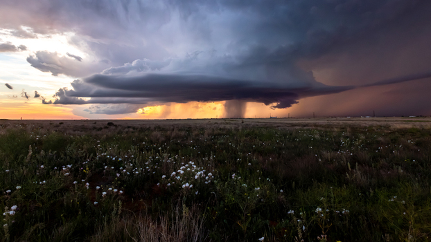 View of a dramatic supercell storm cloud with heavy rain and golden sunset light over a vast prairie landscape in Oklahoma City Oklahoma United States.