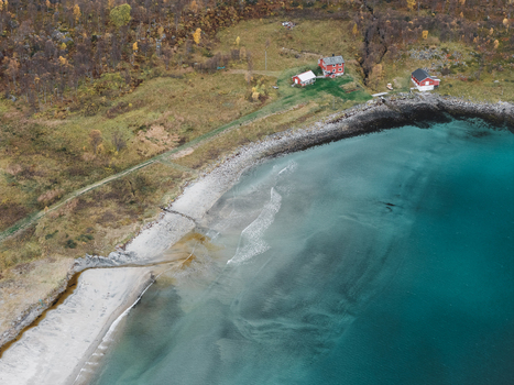 Aerial view of traditional red wooden houses situated on the rugged coastline of Senja island featuring a sandy beach turquoise waters and autumn foliage in Senja Troms Norway.