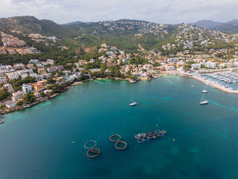 Aerial view of Port d Andratx bay with circular fish farm cages sailboats on turquoise water and a hillside town nestled in lush greenery Port d Andratx Balearic Islands Spain. Aerial view of Port d Andratx bay with circular fish farm cages sailboats on turquoise water and a hillside town nestled in lush greenery Port d Andratx Balearic Islands Spain.