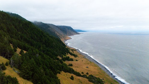 Aerial view of the rugged Lost Coast with steep forested hills and a narrow beach along the Pacific Ocean under an overcast sky Humboldt County California United States.