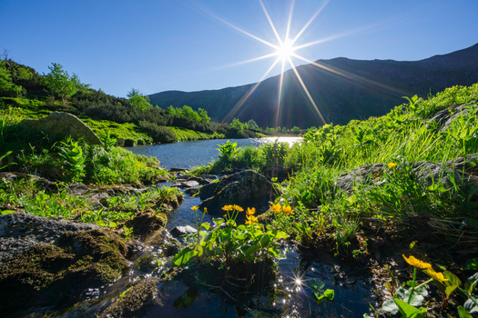 View of Rohacske plesa lake surrounded by lush green vegetation and yellow flowers under a bright sun star in the Tatra Mountains Zuberec Zilina Region Slovakia. View of Rohacske plesa lake surrounded by lush green vegetation and yellow flowers under a bright sun star in the Tatra Mountains Zuberec Zilina Region Slovakia.