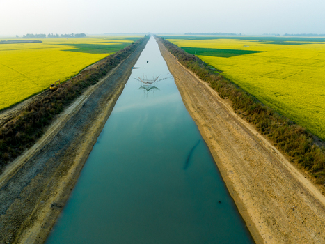 Aerial view of a serene canal cutting through vibrant yellow fields under a hazy sky creating a striking contrast of colors and textures Sirajganj Rajshahi Division Bangladesh. Aerial view of a serene canal cutting through vibrant yellow fields under a hazy sky creating a striking contrast of colors and textures Sirajganj Rajshahi Division Bangladesh.