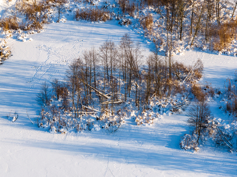 Aerial view of a small island with bare trees and fallen logs on a frozen snow covered lake under bright winter sunlight Lithuania. Aerial view of a small island with bare trees and fallen logs on a frozen snow covered lake under bright winter sunlight Lithuania.