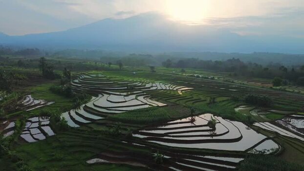 Aerial view of Dieng rice terraces in Kejajar Indonesia.