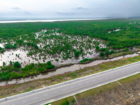 Aerial view of the lush mangrove forests and wetlands of Bonny Island adjacent to a paved highway in Bonny Rivers Nigeria.