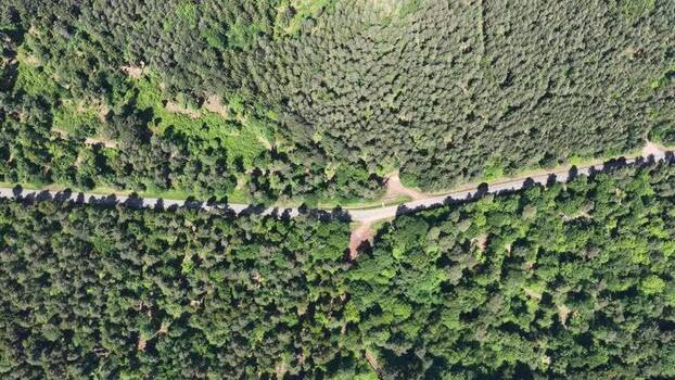 Aerial view of a road winding through a dense green forest France.