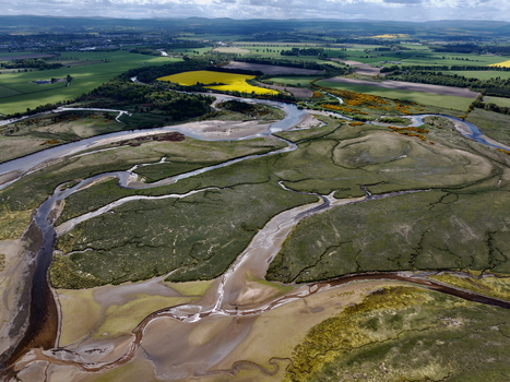 Aerial view of Findhorn Bay featuring winding river channels through salt marshes and green fields under a cloudy sky Findhorn Scotland United Kingdom. Aerial view of Findhorn Bay featuring winding river channels through salt marshes and green fields under a cloudy sky Findhorn Scotland United Kingdom.