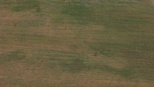 Aerial view of Wilshire Country Club in Los Angeles United States. Aerial view of Wilshire Country Club in Los Angeles United States.
