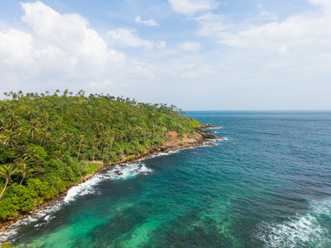 Aerial view of Secret Beach Mirissa featuring a lush tropical forest along a rocky coastline with turquoise ocean water under a bright sky in Mirissa Southern Province Sri Lanka. Aerial view of Secret Beach Mirissa featuring a lush tropical forest along a rocky coastline with turquoise ocean water under a bright sky in Mirissa Southern Province Sri Lanka.