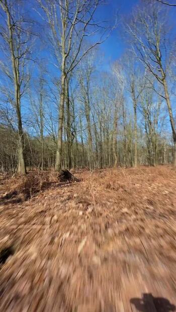 Aerial FPV view of a leafless forest floor United Kingdom. Aerial FPV view of a leafless forest floor United Kingdom.