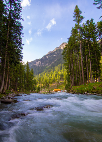 View of the fast flowing river surrounded by dense pine forests and towering mountains in Kumrat Valley Khyber Pakhtunkhwa Pakistan. View of the fast flowing river surrounded by dense pine forests and towering mountains in Kumrat Valley Khyber Pakhtunkhwa Pakistan.