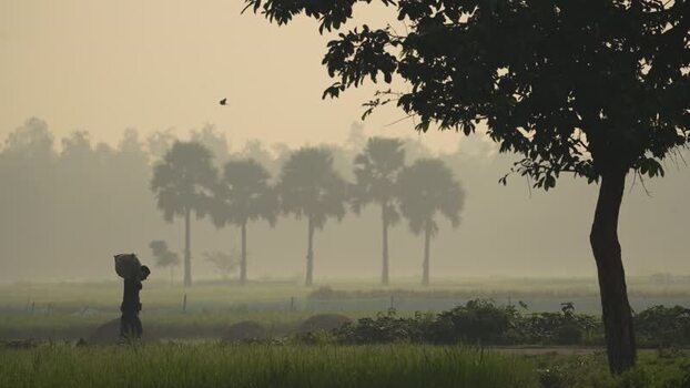 View of a person walking through a misty field in Bogura Bangladesh.