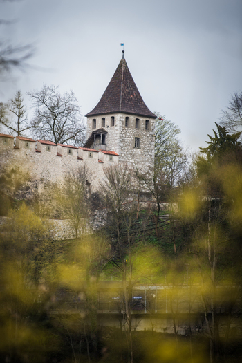 View of a medieval tower with a conical roof rising above stone walls softened by the blurred foreground of vibrant yellow blossoms Neuhausen am Rheinfall Switzerland. View of a medieval tower with a conical roof rising above stone walls softened by the blurred foreground of vibrant yellow blossoms Neuhausen am Rheinfall Switzerland.