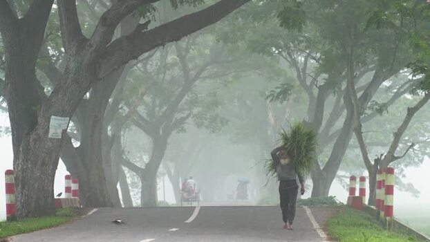 View of a man carrying grass on a foggy road in Bogura Bangladesh. View of a man carrying grass on a foggy road in Bogura Bangladesh.