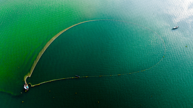 Aerial view of a fisherman using a large circular net to catch fish in the calm green waters of Kaptai Lake in Rangamati Chittagong Division Bangladesh.