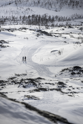 View of two people standing in a vast snowy landscape surrounded by sparse trees and rolling hills Ersfjord Troms Norway. View of two people standing in a vast snowy landscape surrounded by sparse trees and rolling hills Ersfjord Troms Norway.