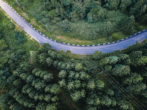 Aerial view of a winding road cutting through dense emerald green forest a vivid contrast of man made path against nature s vibrant tapestry Obudu Cross River Nigeria.