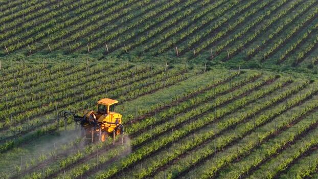 Aerial view of a yellow tractor in a vineyard France. Aerial view of a yellow tractor in a vineyard France.