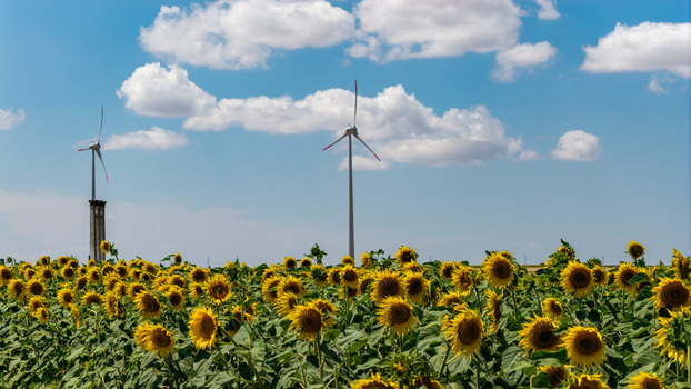 Aerial view of wind turbines rising above a vibrant field of blooming sunflowers under a bright blue sky with scattered white clouds in the rural landscape of Tulcea Tulcea Romania. Aerial view of wind turbines rising above a vibrant field of blooming sunflowers under a bright blue sky with scattered white clouds in the rural landscape of Tulcea Tulcea Romania.
