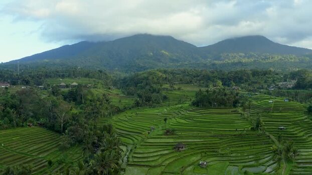 Aerial view of Jatiluwih rice terraces and mountains Indonesia.