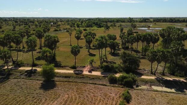 Aerial view of rural landscape with palm trees in Cambodia. Aerial view of rural landscape with palm trees in Cambodia.