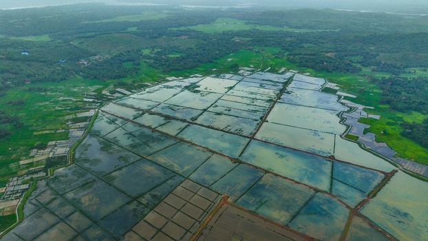 Aerial view of flooded rice paddies in the lush green landscape of Gokarna Karnataka India. Aerial view of flooded rice paddies in the lush green landscape of Gokarna Karnataka India.