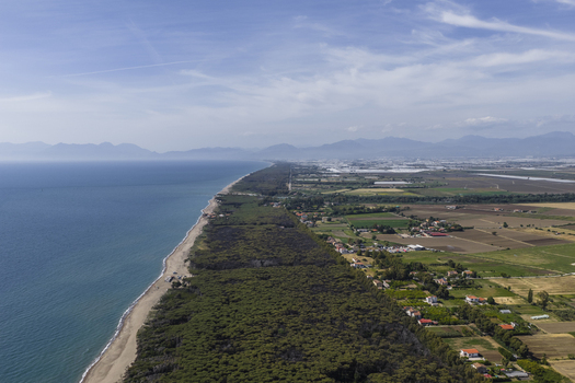 Aerial view of the sandy coastline and dense pine forest bordering agricultural fields and rural houses under a clear sky in Paestum Campania Italy.