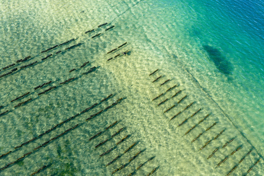 Aerial view of oyster farming structures in the clear turquoise waters of Praia da Fuseta Fuseta Faro District Portugal. Aerial view of oyster farming structures in the clear turquoise waters of Praia da Fuseta Fuseta Faro District Portugal.