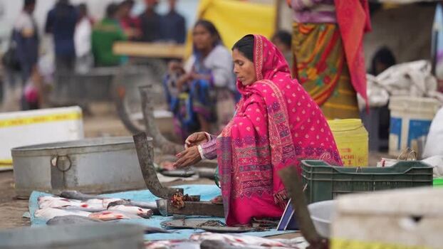 View of a woman cleaning fish at a local market in Patna India.