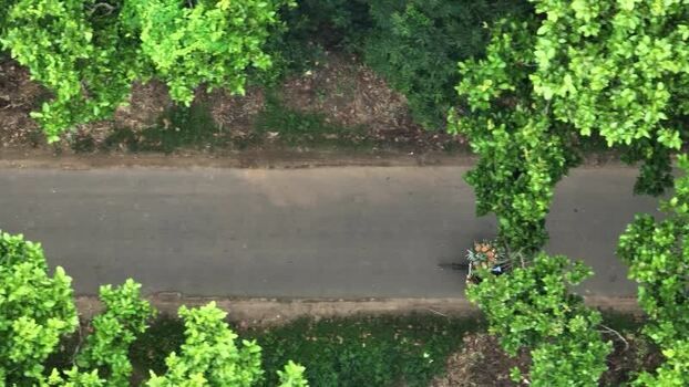 Aerial view of a road through lush forest Bangladesh. Aerial view of a road through lush forest Bangladesh.