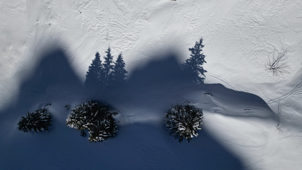 Aerial view of snow laden trees casting long dramatic shadows across the pristine white landscape a stark contrast highlighting the winter s embrace Samoëns Auvergne Rhône Alpes France. Aerial view of snow laden trees casting long dramatic shadows across the pristine white landscape a stark contrast highlighting the winter s embrace Samoëns Auvergne Rhône Alpes France.
