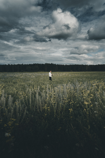 View of a person standing in a wildflower field on Vormsi island with a forest backdrop under a dramatic cloudy sky in Laane County Estonia. View of a person standing in a wildflower field on Vormsi island with a forest backdrop under a dramatic cloudy sky in Laane County Estonia.