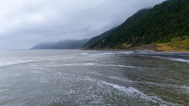 Aerial view of the Lost Coast featuring a dark sand beach and dense evergreen forest under misty hills in Humboldt County California United States.