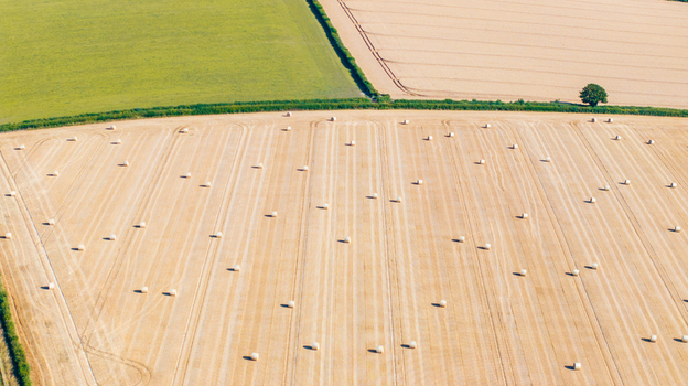 Aerial view of harvested wheat fields with numerous hay bales scattered across the golden landscape bordered by green hedgerows and lush pastures in Dorset England United Kingdom. Aerial view of harvested wheat fields with numerous hay bales scattered across the golden landscape bordered by green hedgerows and lush pastures in Dorset England United Kingdom.