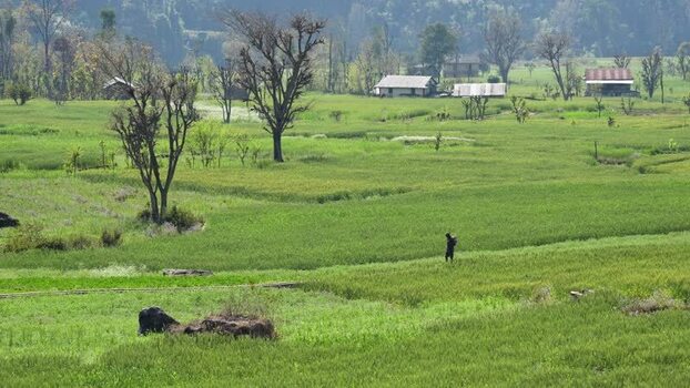 View of lush green agricultural fields and rural houses Nepal. View of lush green agricultural fields and rural houses Nepal.