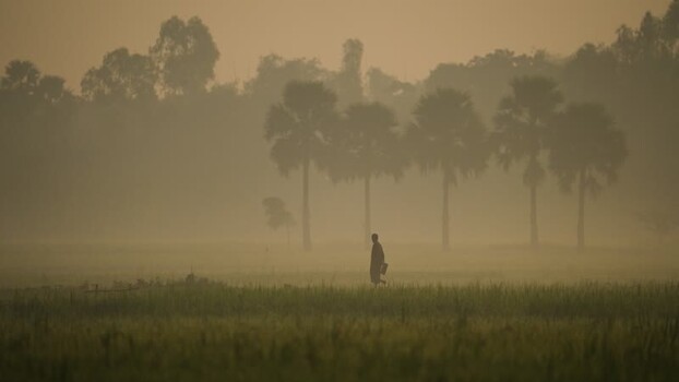 View of a person walking through misty fields in Bogura Bangladesh.