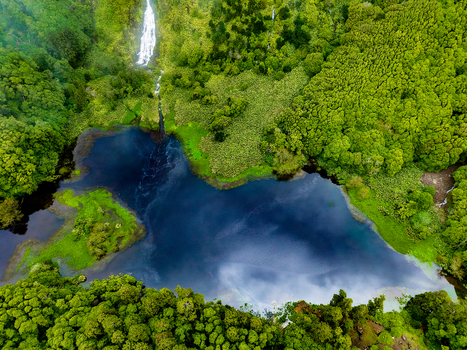Aerial view of a dark lake embraced by vibrant green forest and a cascading waterfall at Cascata da Ribeira do Ferreiro Flores Azores Portugal.