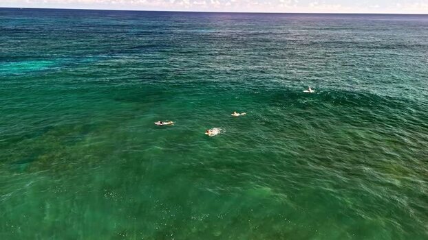 Aerial view of surfers in the ocean off the coast of Bali Indonesia.