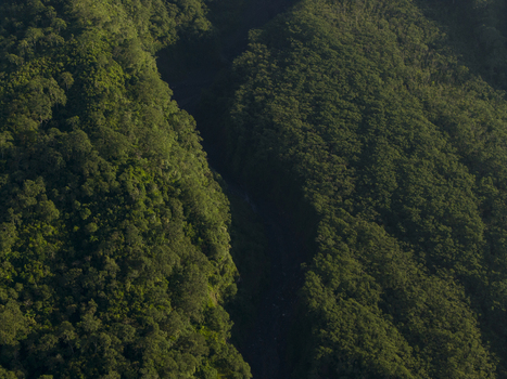 Aerial view of the deep Kaliadem ravine surrounded by dense tropical forest and lush green hills in Kecamatan Pakem Daerah Istimewa Yogya Indonesia. Aerial view of the deep Kaliadem ravine surrounded by dense tropical forest and lush green hills in Kecamatan Pakem Daerah Istimewa Yogya Indonesia.