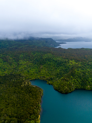 Aerial view of the vibrant green forests meeting the serene blue waters under a cloudy sky Rotorua New Zealand. Aerial view of the vibrant green forests meeting the serene blue waters under a cloudy sky Rotorua New Zealand.