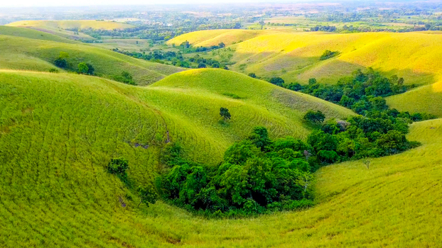 Aerial view of the rolling green hills of Wairinding featuring lush grassy slopes and patches of dense forest under soft sunlight in Waingapu City East Nusa Tenggara Indonesia.