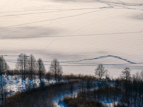 Aerial view of a vast snow covered field with intricate tracks and footprints near a line of leafless trees under soft winter light in Lithuania. Aerial view of a vast snow covered field with intricate tracks and footprints near a line of leafless trees under soft winter light in Lithuania.