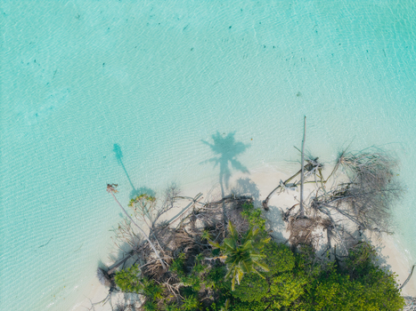 Aerial view of a vibrant green island emerging from crystal clear turquoise waters its palm shadow stretching across the ripples Thuraakunu Thiladhunmathee Uthuruburi Maldives. Aerial view of a vibrant green island emerging from crystal clear turquoise waters its palm shadow stretching across the ripples Thuraakunu Thiladhunmathee Uthuruburi Maldives.